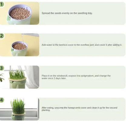 New Pet Cat Sprout Dish